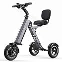 Electric Scooter 3 Wheels Foldable E-Trike with Backrest Seat for Adults