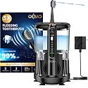 Electric Toothbrush with Water Flosser,Dental Pick Toothbrush Combo