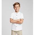 Elegant Boys Shirt in Solid Pattern with
