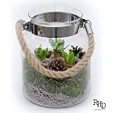 Elegant Clear Glass for Home Decor 