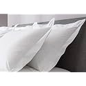 remium Hotel Quality 4 Piece Pillow Shams 100% Egyptian Cotton 550 Thread Count Pattern Solid (Queen, White)(16 * 24)