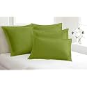 remium Hotel Quality 4 Piece Pillow Shams 100% Egyptian Cotton 550 Thread Count Pattern Solid (King, Moss)(17 * 27)