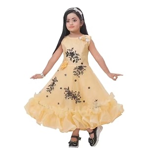 Elegant Petal Flair Embroidered Party Frock for