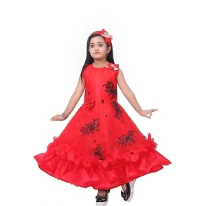 Elegant Petal Flair Embroidered Party Frock for