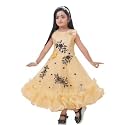 Elegant Petal Flair Embroidered Party Frock for