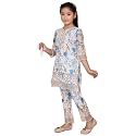 Elegent Girl Dresses Ebroidery Dress For Girls