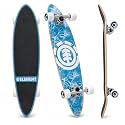 Element Longboard Skateboards Complete Seal Assembled and Ready to Ride