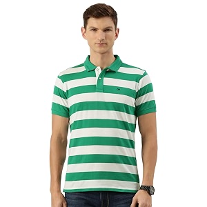 Peter England Mens Cotton Regular Fit Polo