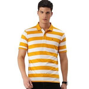 Peter England Mens Cotton Regular Fit Polo