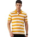Peter England Men39s Cotton Regular Fit Polo