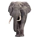 Elephant - Life Size Cardboard Cutout Standup People with Support Standee | Animals -