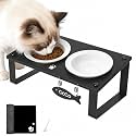 Elevated Cat Bowls with Mat for Kitten Puppy, 10° Tilted Raised Cat Food &amp; Water Bowl Stand Anti-Vomiting, 2 Wide Shallow Ceramic Bowls, Whisker Friendly, 3.5" Tall