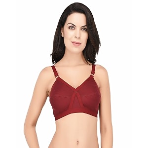 Elina Womens Full Coverage Horsery D-Cup Bra.Set