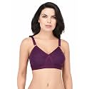 Elina Women39s Full Coverage Horsery D-Cup Bra.Set