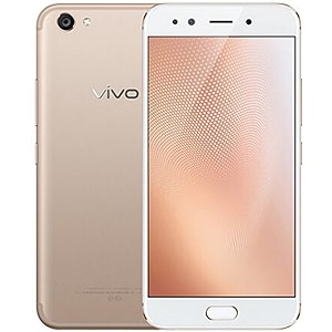 EmBed Matte Fiber Display Guard for vivo
