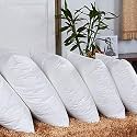 Cotton Cushion Fillers/Pillows - Set of 5 (White (18x18)