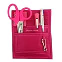 EMI Nurse Pocket Organizer 4 Piece Kit - Pocket Organizer, Lister Scissors, LED Penlight, and Chart Pen (Pink)