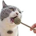 emily pets Catnip Lollipop, Wooden Teeth Cleaning Snack Stick, Cat Mint Lollipop Funny Catnip Play Toys for Pet Kitten (Pack of 2)