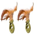 Emily Pets Catnip Toys for Indoor Cats - Interactive Chew and Teething Feather Toy (Fish Shape, Pack of 2)