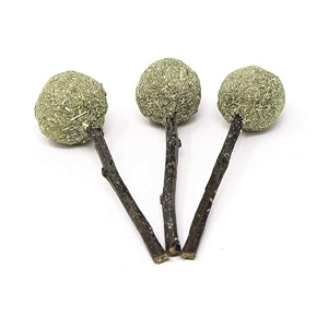 emily pets natural cat catnip treat balls pet catnip toys interactive kitten toyscats playingcleaning teeth chew toy for cat toy