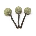 Emily Pets Natural Cat Catnip Treat Balls, Pet Catnip Toys, Interactive Kitten Toys,Cats Playing,Cleaning Teeth, Chew Toy for Cat Toy.