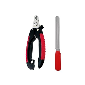 emily pets stainless steel tool nail clipper cutter with nail filer-dog nail clipperscat nail trimmer large breed with quick sensorsafari professional cat nail clipper with safety guard amp nail filer