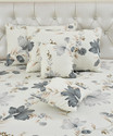 emly Cotton Double Flat 240 TC Printed