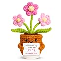 Emotional Support Plant, Handmade Crochet Potted Flower with Inspirational Message Card, Pink Petal Knitted Daisy, Stress Relief Gift for Christmas, Friends, Family, and Coworkers