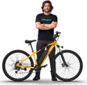EMotorad Trex Yellow 7.65 29 inches 29