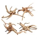 emours Driftwood Branches Reptiles Aquarium Decoration Assorted Size,(5.5-8 inch in Length),4 Pieces (Spider Wood)