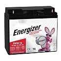 Energizer EN18-12, 12 Volt 18 Amp Hr, Long Lasting Sealed Lead Acid AGM Rechargeable Battery Ideal for Use in Wheelchairs, Electric Scooters, Generators, Backup Power, and More