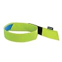 Ergodyne Chill Its 6705CT Cooling Bandana, Lined with Evaporative PVA Material for Fast Cooling Relief, Quick and Secure Fit
