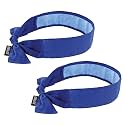 Ergodyne Chill Its Cooling Bandana, Lined with Evaporative PVA Material for Fast Relief, Tie for Adjustable Fit, Blue, 2-Pack