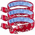 Ergodyne Cooling Bandana, Pack of 3 | Chill Its 6700CT | PVA Material | Red Western | Adjustable Fit