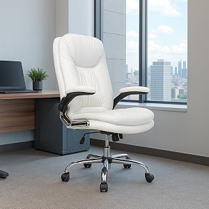 ERGOLUX Premium Office Chair Ergonomic High