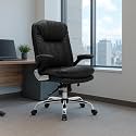 ERGOLUX Premium Office Chair Ergonomic High