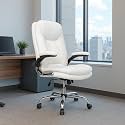 ERGOLUX Premium Office Chair Ergonomic High