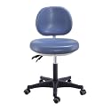 Ergonomic Adjustable Dental Chair with Backrest - PU Leather Dentist Stool for Professionals, Lake Blue, Comfortable &amp; Durable Medical Seating