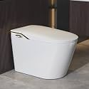 Eridanus One Piece Smart Bidet Toilet, Foot Sensor Flush, Heated Seat