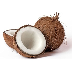 vhc1 coconut coconut tree plant hybrid plant height 15-25 feet furit after 3-4 year pack of 1 healthy live fruit plant for home garden