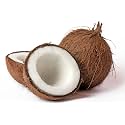 VHC1 Coconut Coconut Tree Plant Hybrid (Plant height 1.5-2.5 Feet) Furit After 3-4 Year Pack Of 1 Healthy Live Fruit Plant For Home Garden