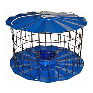 erva tool and die bluebird feeder - includes meal worm cup - designed to keep squirrels out