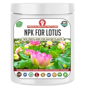 erwon npk for growth and flowering of water lilies and lotus plants in water 200 gm