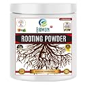 Erwon organic Rooting Powder with auxins for