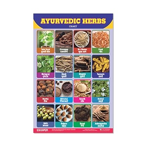ESCAPER Ayurvedic Herbs Educational Charts for Kids