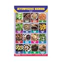 ESCAPER Ayurvedic Herbs Educational Charts for Kids