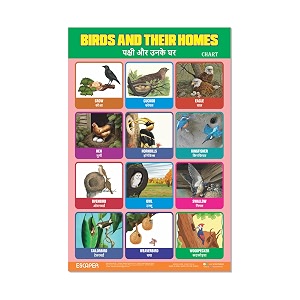 ESCAPER Birds Their Homes Educational Charts
