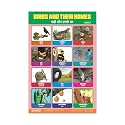 ESCAPER Birds amp Their Homes Educational Charts
