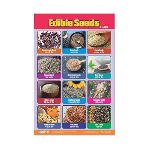 ESCAPER Edible Seeds Educational Learning Charts 11.5