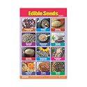 ESCAPER Edible Seeds Educational Learning Charts 11.5